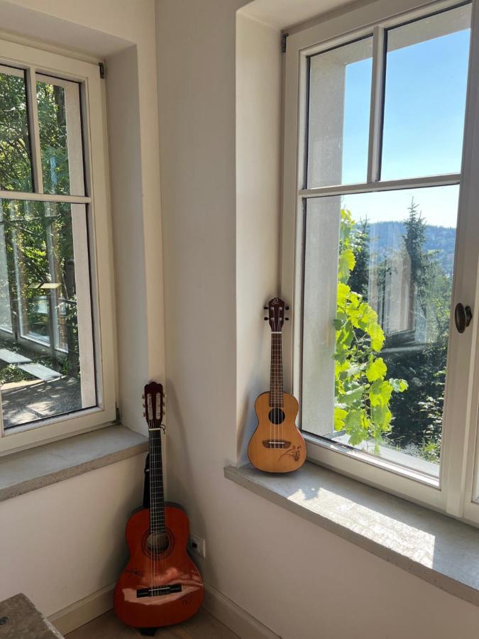 Apartment Bellevue