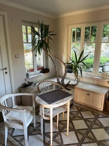 Bellevue Apartment